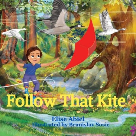 Follow That Kite Cover 8x8 26 page - 1